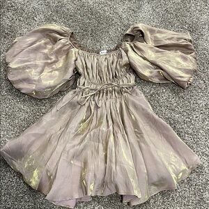 Elegant champagne Mini Dress